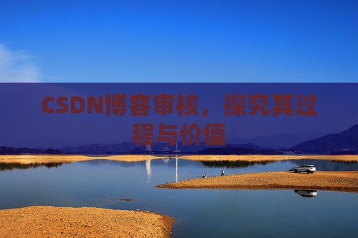 CSDN博客审核,探究其过程与价值